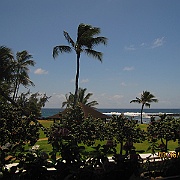 Picture 043